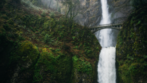 Sync Oracle EBS Users with Entra ID Groups